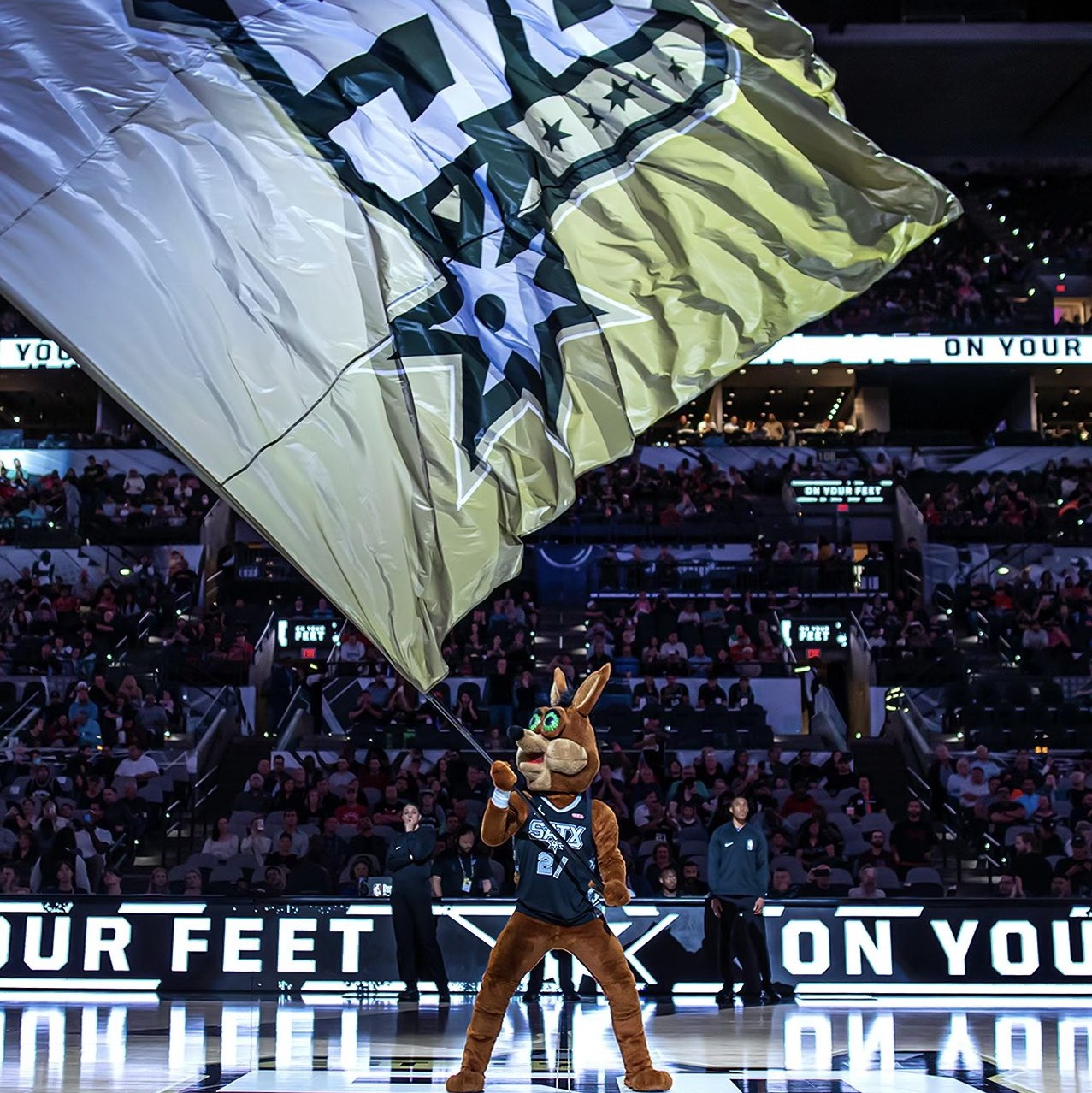 观众管理背 观众管理背