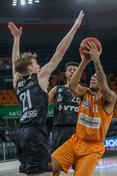 的新崛起 的新崛起